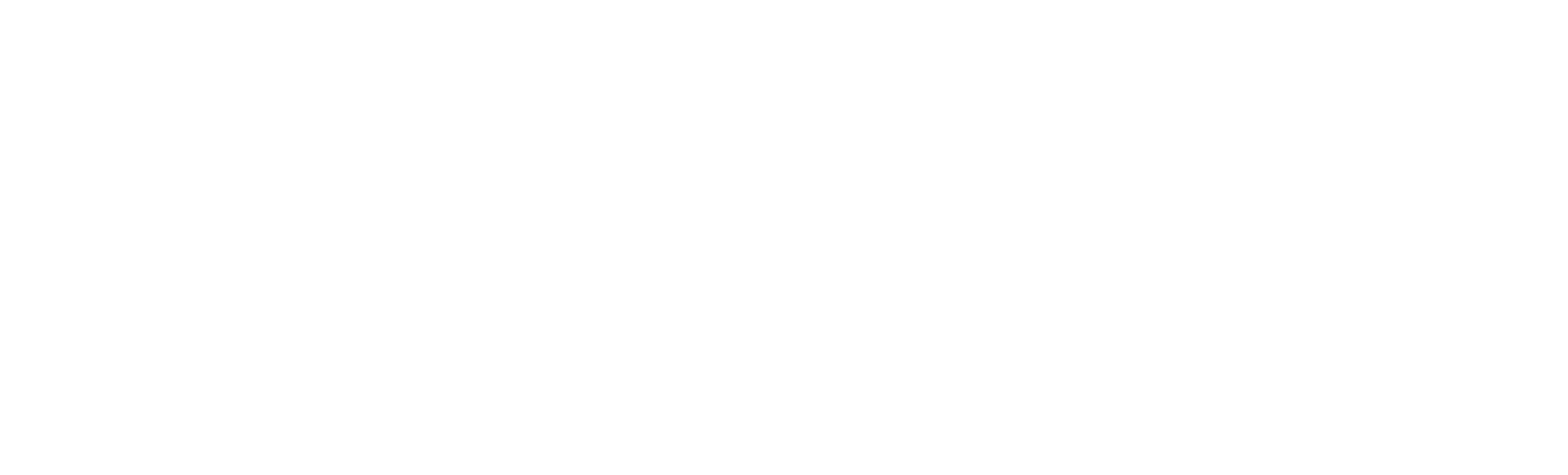 footer-logo